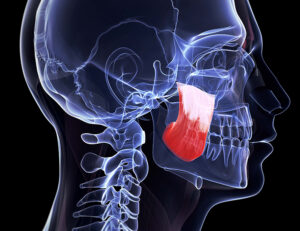 歯科治療中にあごが疲れて口を開けていられない時の原因と対処法を解説